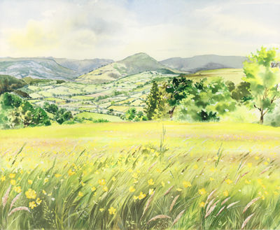 Meadows above Cwmdu